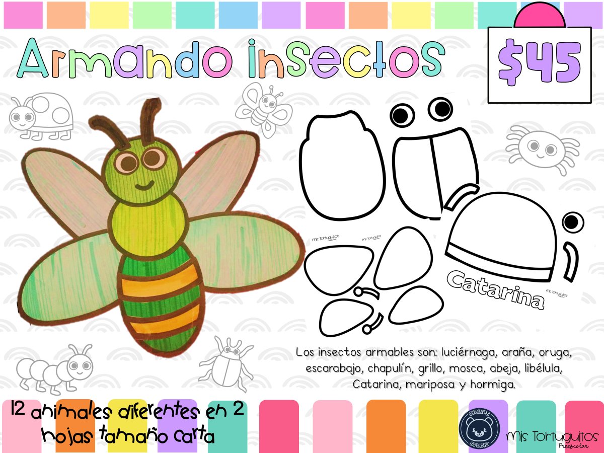 ARMANDO INSECTOS